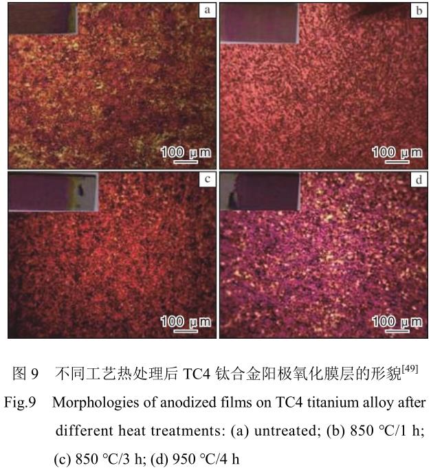 鈦及鈦合金陽極氧化膜層顯色影響因素研究進(jìn)展
