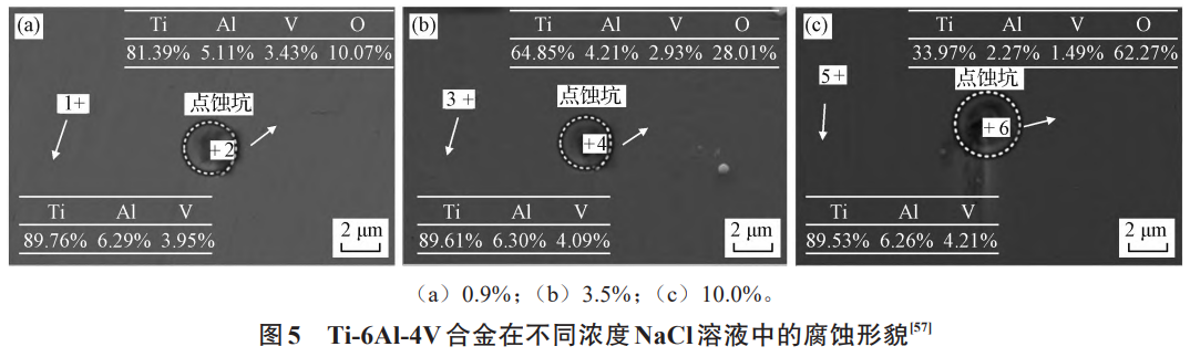 截圖20250103110524.png